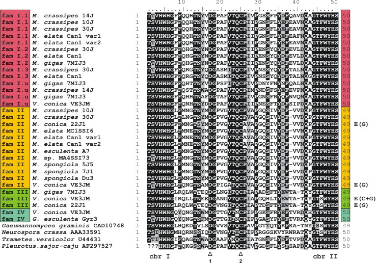 Fig4AlignmentMCOs