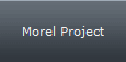 Morel Project