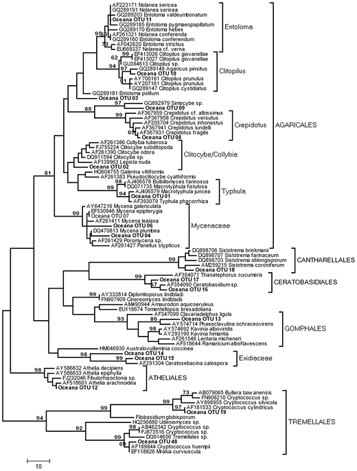 PLOS fig3 tree2